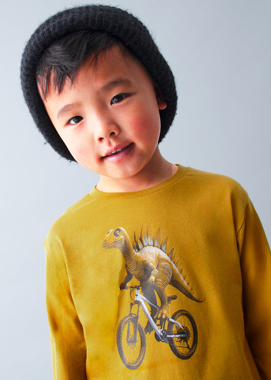 Mayoral Camisola dinossauro menino