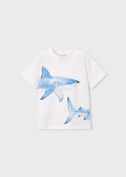Mayoral T-shirt tubarão menino