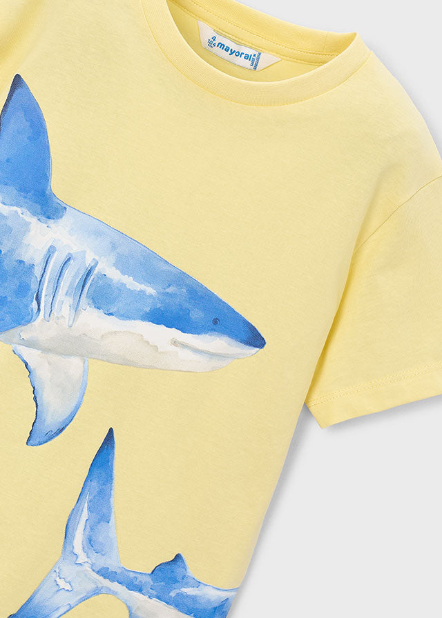 Mayoral T-shirt tubarão menino