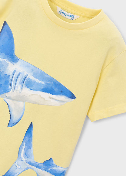 Mayoral T-shirt tubarão menino